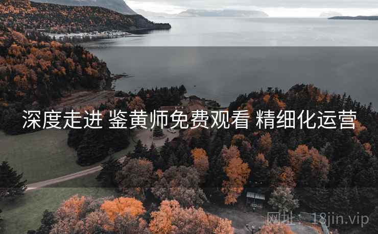 深度走进 鉴黄师免费观看 精细化运营