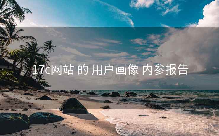 17c网站 的 用户画像 内参报告