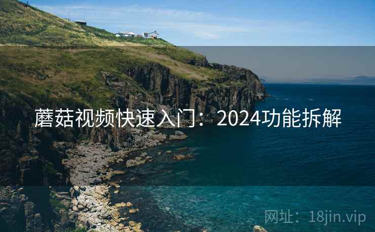 蘑菇视频快速入门:2024功能拆解 蘑菇视频快速入门:2024功能拆解