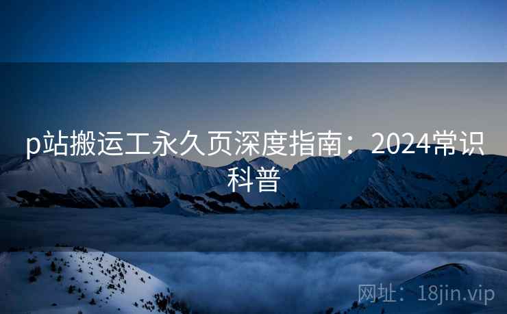 p站搬运工永久页深度指南：2024常识科普