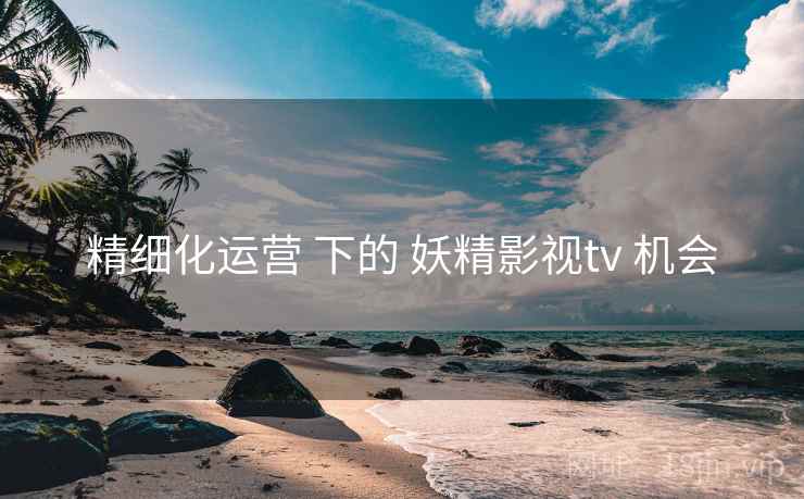 精细化运营 下的 妖精影视tv 机会 精细化运营 下的 妖精影视tv 机会