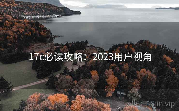 17c必读攻略：2023用户视角