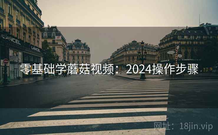 零基础学蘑菇视频：2024操作步骤