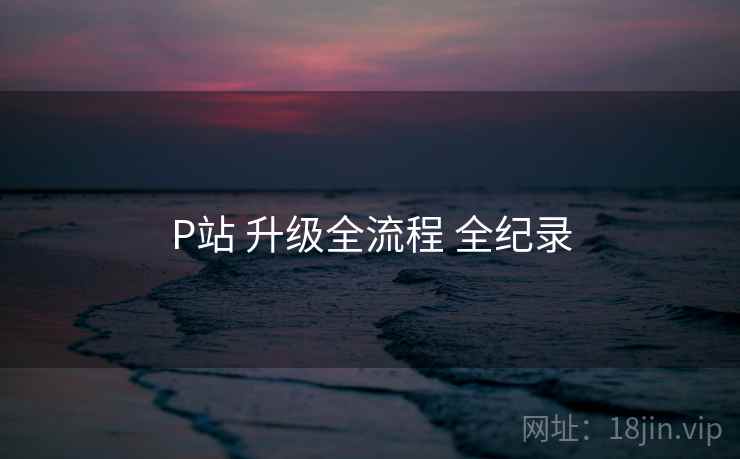 P站 升级全流程 全纪录