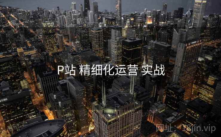P站 精细化运营 实战 P站 精细化运营 实战