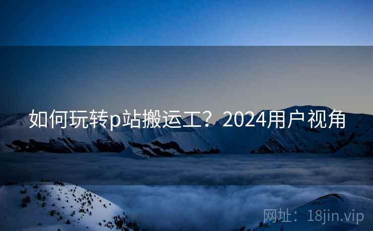 如何玩转p站搬运工？2024用户视角