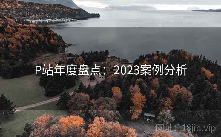 P站年度盘点：2023案例分析