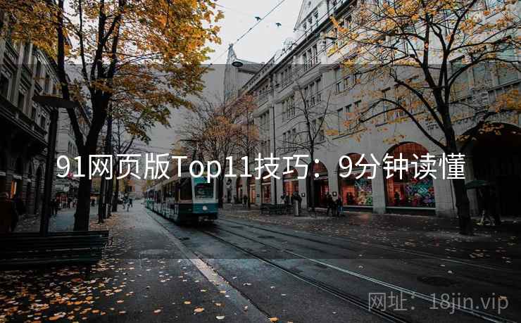 91网页版Top11技巧：9分钟读懂