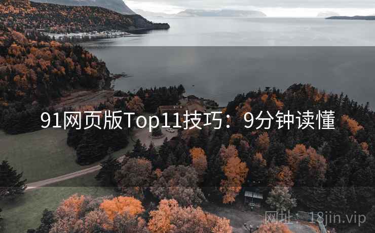 91网页版Top11技巧：9分钟读懂