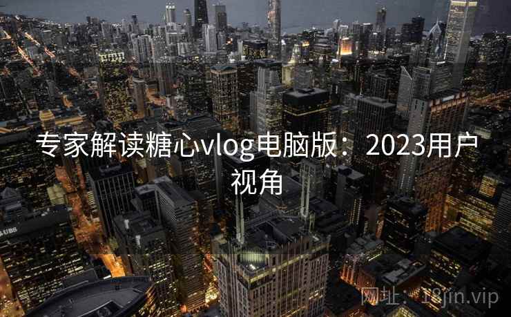 专家解读糖心vlog电脑版：2023用户视角