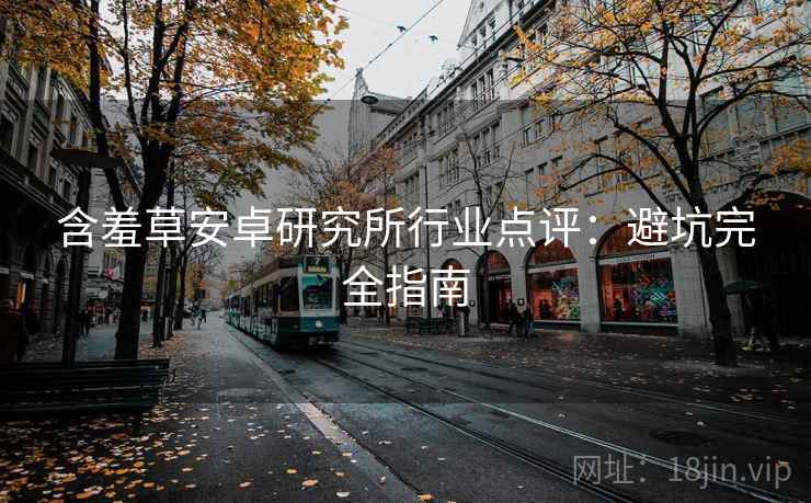 含羞草安卓研究所行业点评：避坑完全指南